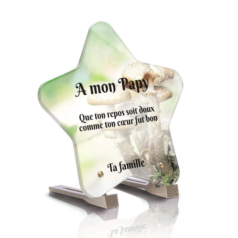 Plaque pour tombe Etoile Champignon