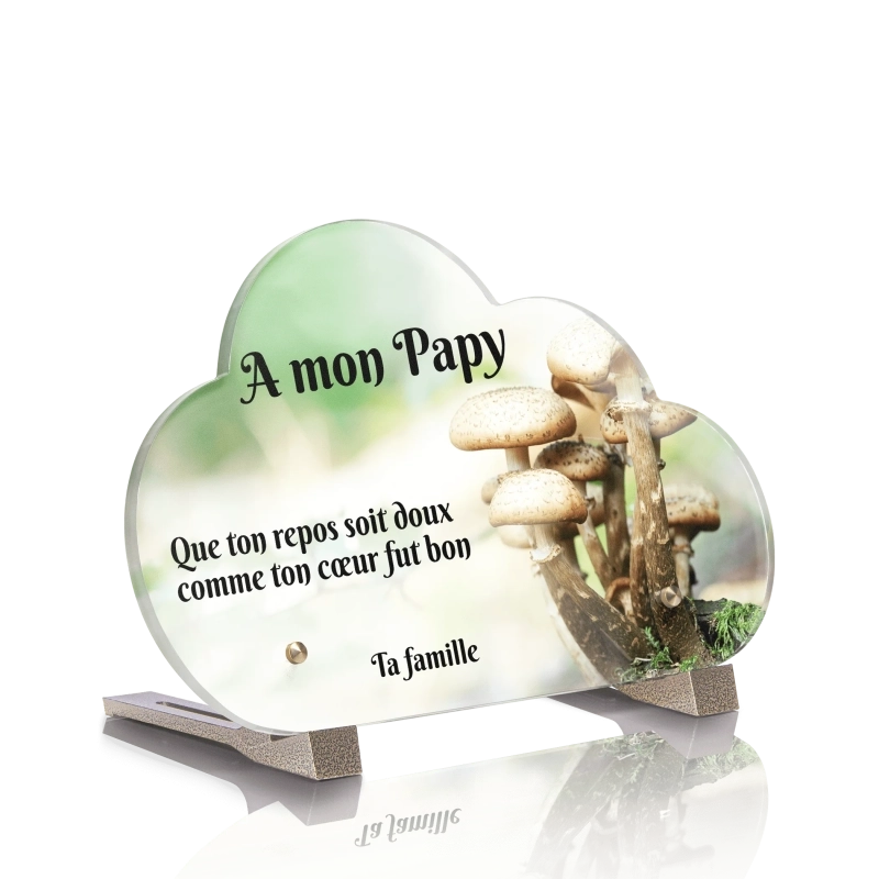 Plaque pour tombe Nuage Champignon